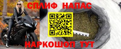 гашик Аргун
